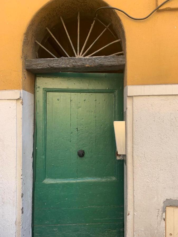 Apartment 33 On The Old Historic Senate Square 尼斯 外观 照片